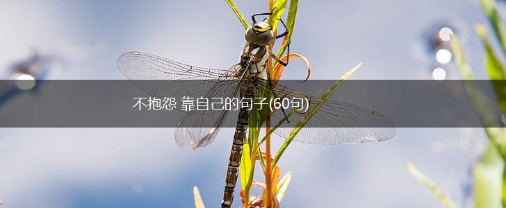 不抱怨 靠自己的句子(60句),第1张