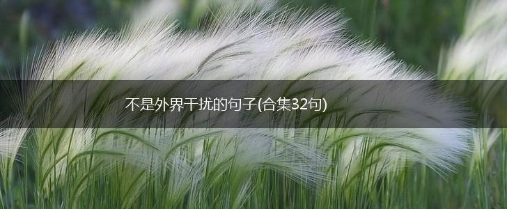 不是外界干扰的句子(合集32句),第1张