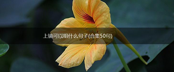 上镜可以组什么句子(合集50句),第1张