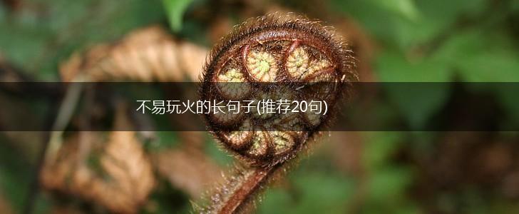 不易玩火的长句子(推荐20句),第1张