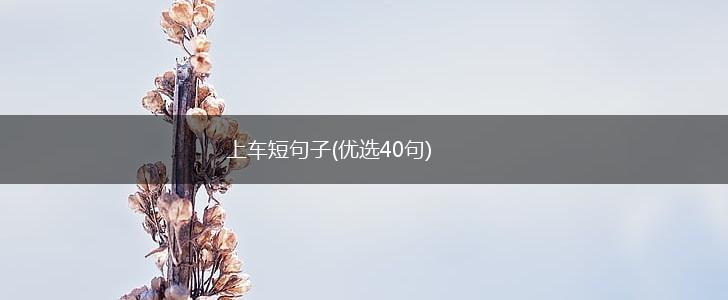 上车短句子(优选40句),第1张