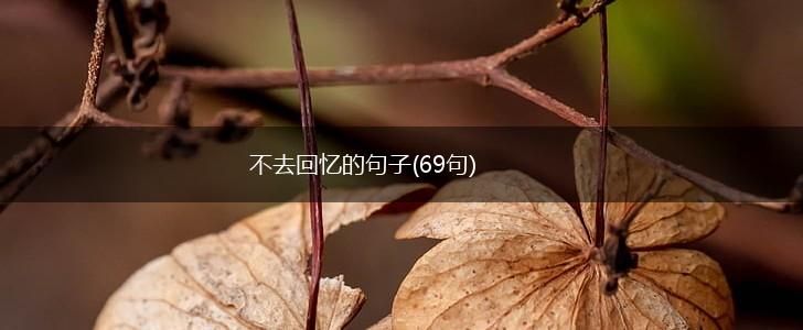 不去回忆的句子(69句),第1张