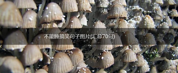 不能睡搞笑句子图片(汇总70句),第1张