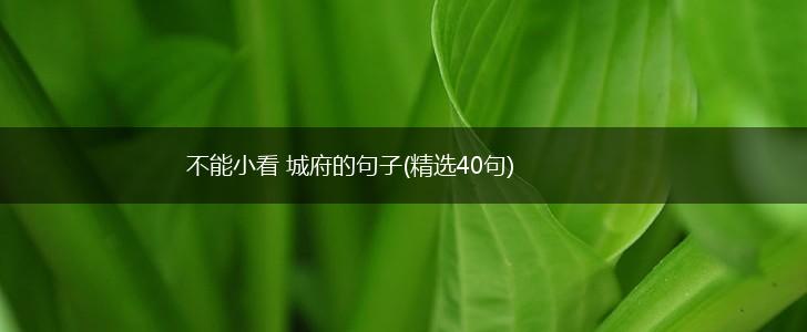 不能小看 城府的句子(精选40句),第1张