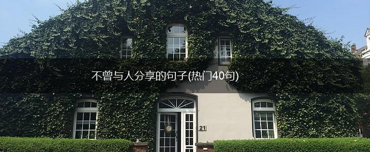 不曾与人分享的句子(热门40句),第1张