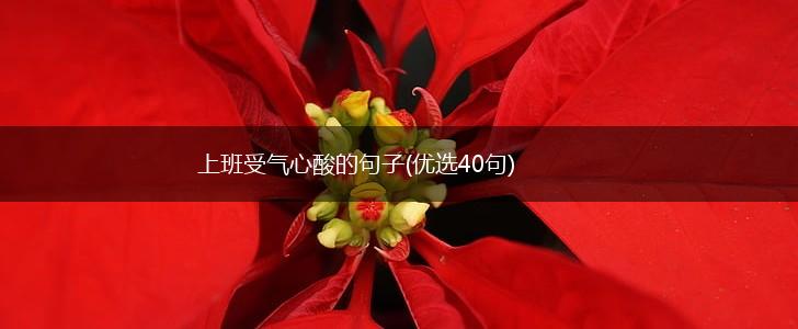 上班受气心酸的句子(优选40句),第1张