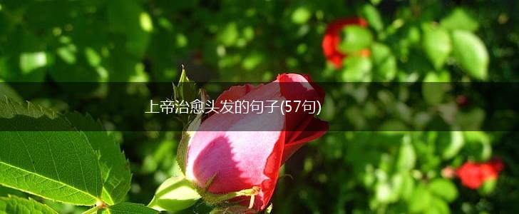 上帝治愈头发的句子(57句),第1张