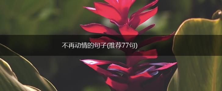 不再动情的句子(推荐77句),第1张