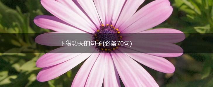 下狠功夫的句子(必备70句),第1张