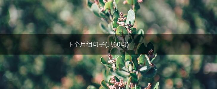 下个月组句子(共60句),第1张