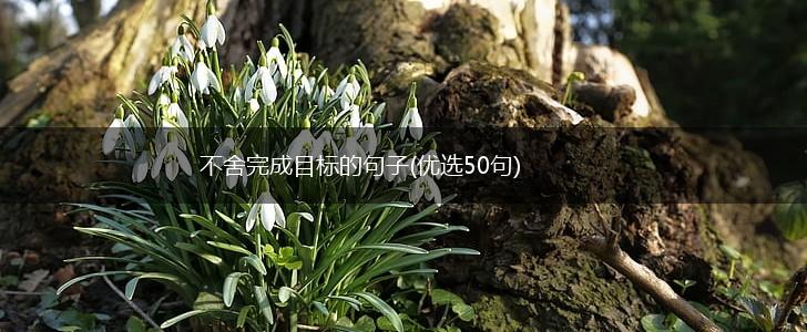 不舍完成目标的句子(优选50句),第1张