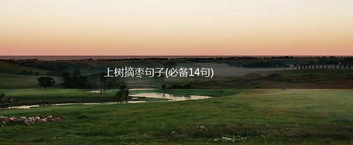 上树摘枣句子(必备14句),第1张