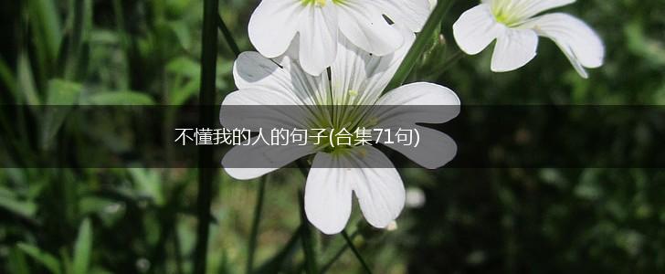 不懂我的人的句子(合集71句),第1张