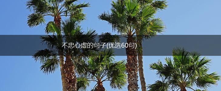 不忠心虚的句子(优选60句),第1张