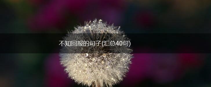 不知回报的句子(汇总40句),第1张
