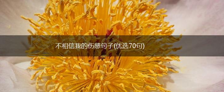 不相信我的伤感句子(优选70句),第1张