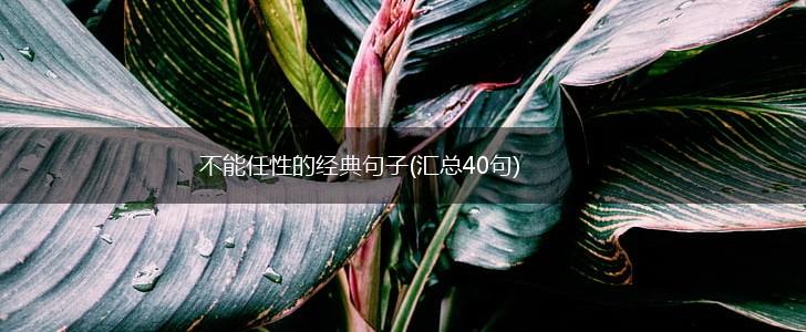不能任性的经典句子(汇总40句),第1张