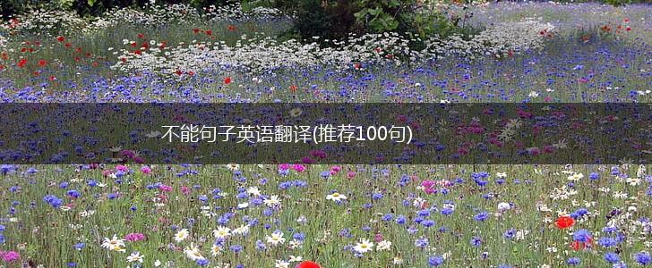 不能句子英语翻译(推荐100句),第1张