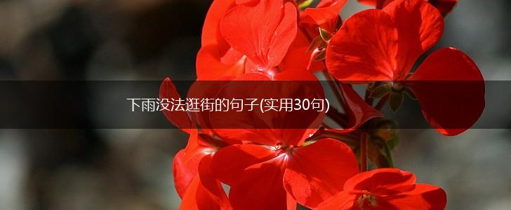 下雨没法逛街的句子(实用30句),第1张