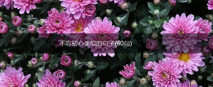 不忘初心类似的句子(60句),第1张