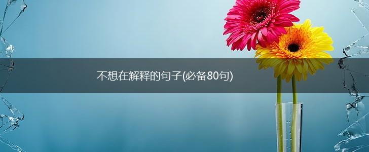 不想在解释的句子(必备80句),第1张