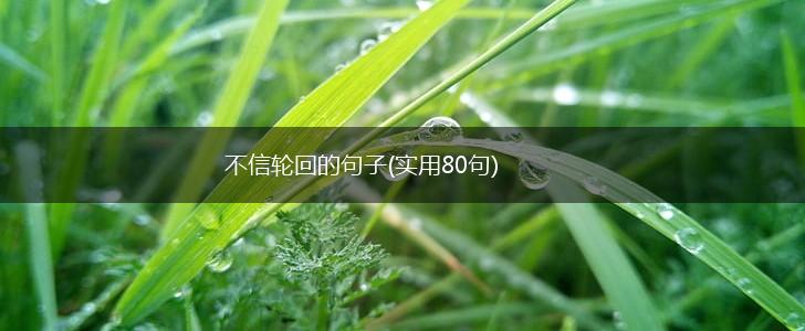 不信轮回的句子(实用80句),第1张