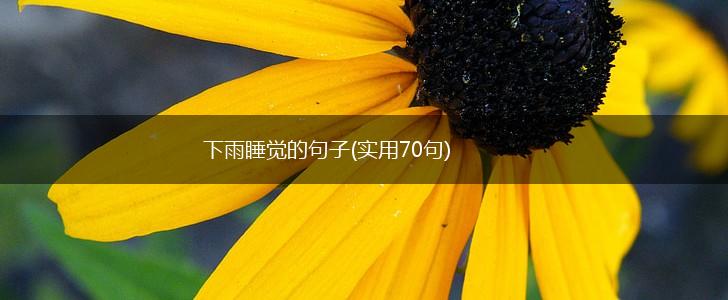 下雨睡觉的句子(实用70句),第1张