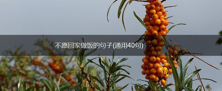 不愿回家做饭的句子(通用40句),第1张