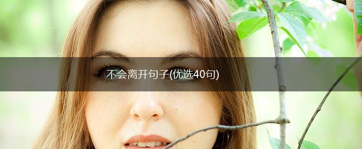 不会离开句子(优选40句),第1张