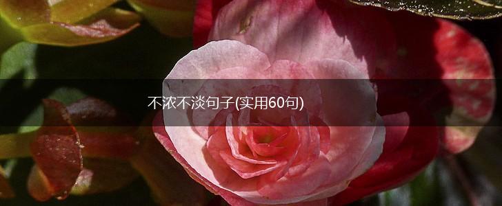 不浓不淡句子(实用60句),第1张