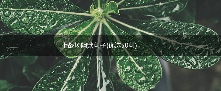上战场幽默句子(优选50句),第1张