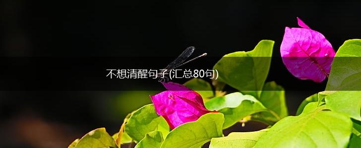 不想清醒句子(汇总80句),第1张