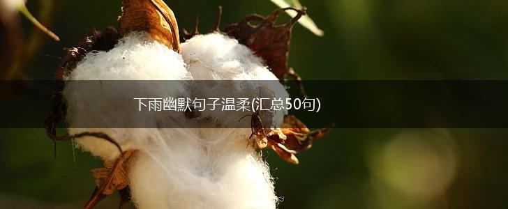 下雨幽默句子温柔(汇总50句),第1张