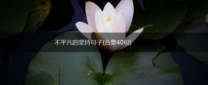 不平凡的坚持句子(合集40句),第1张