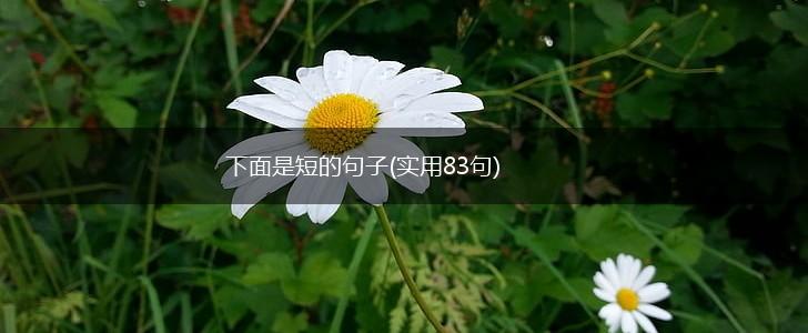 下面是短的句子(实用83句),第1张