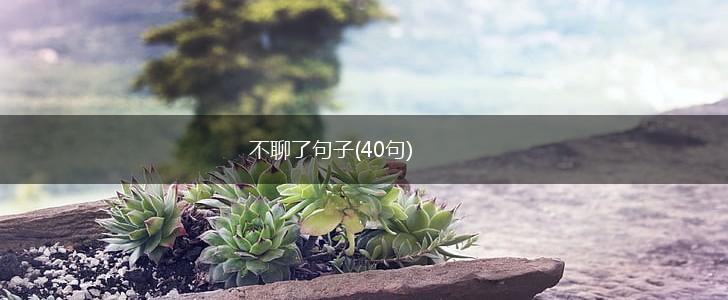 不聊了句子(40句),第1张