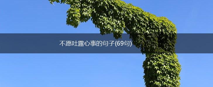 不愿吐露心事的句子(69句),第1张