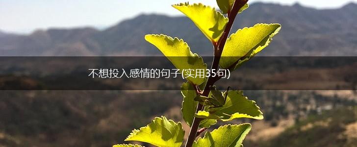 不想投入感情的句子(实用35句),第1张