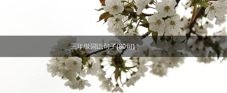 三年级词语句子(80句),第1张