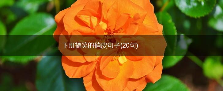 下班搞笑的俏皮句子(20句),第1张