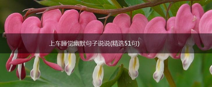 上车睡觉幽默句子说说(精选51句),第1张