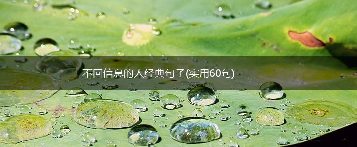 不回信息的人经典句子(实用60句),第1张
