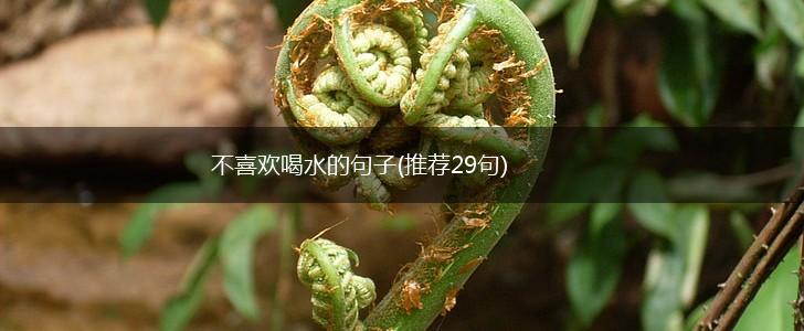 不喜欢喝水的句子(推荐29句),第1张