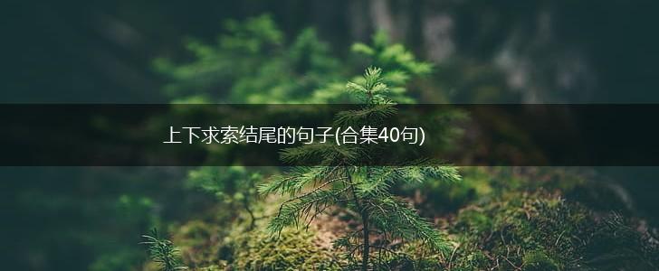上下求索结尾的句子(合集40句),第1张