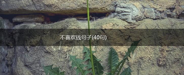 不喜欢钱句子(40句),第1张