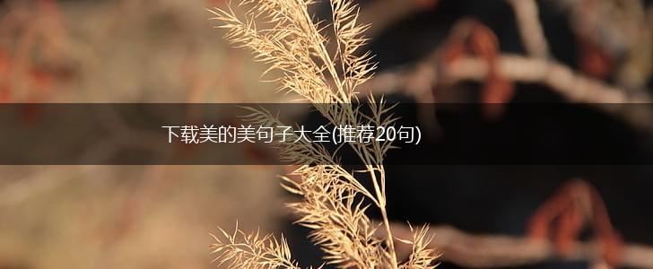 下载美的美句子大全(推荐20句),第1张