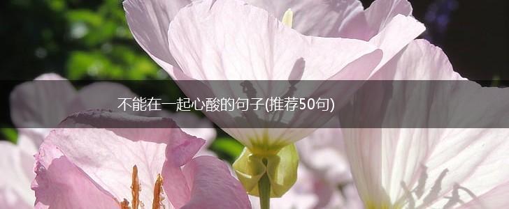 不能在一起心酸的句子(推荐50句),第1张