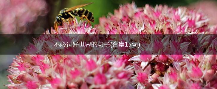 不必讨好世界的句子(合集15句),第1张