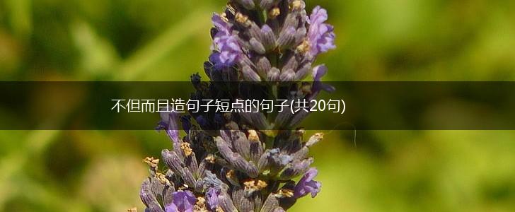 不但而且造句子短点的句子(共20句),第1张