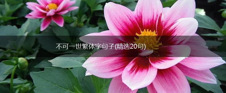 不可一世繁体字句子(精选20句),第1张